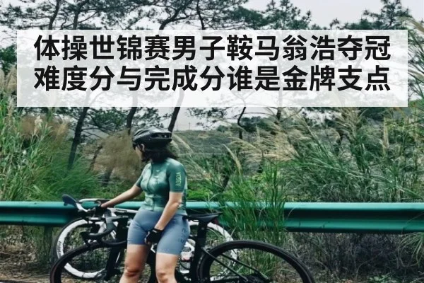 体操世锦赛男子鞍马翁浩夺冠 难度分与完成分谁是金牌支点